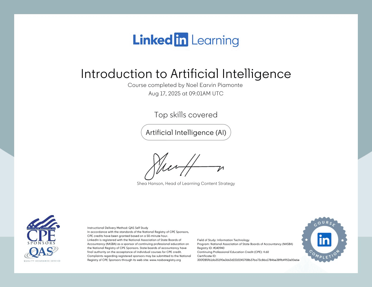 Screenshot of Introduction to Artificial Intelligence